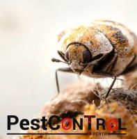 Beetle Control Perth image 2